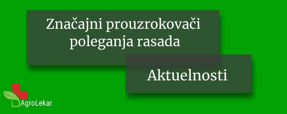 Read more about the article ZNAČAJNI PROUZROKOVAČI POLEGANJA RASADA