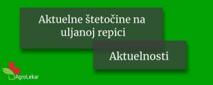 Read more about the article AKTUELNE ŠTETOČINE NA ULJANOJ REPICI