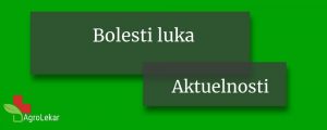 Read more about the article BOLESTI LUKA