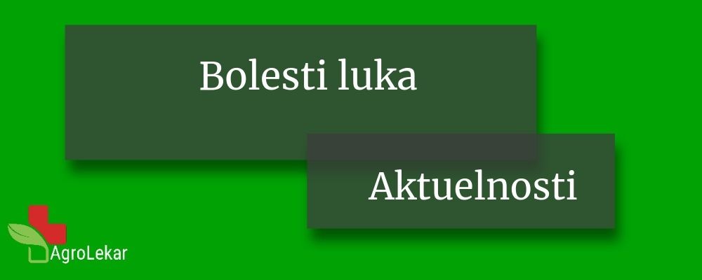 You are currently viewing BOLESTI LUKA
