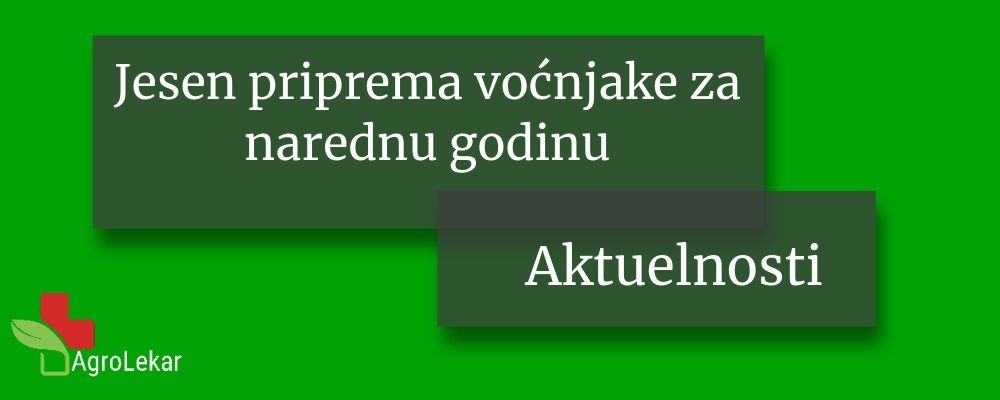 Read more about the article JESEN PRIPREMA VOĆNJAKE ZA NAREDNU GODINU