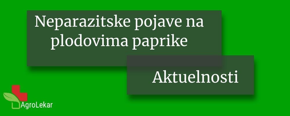 Read more about the article NEPARAZITSKE POJAVE NA PLODOVIMA PAPRIKE