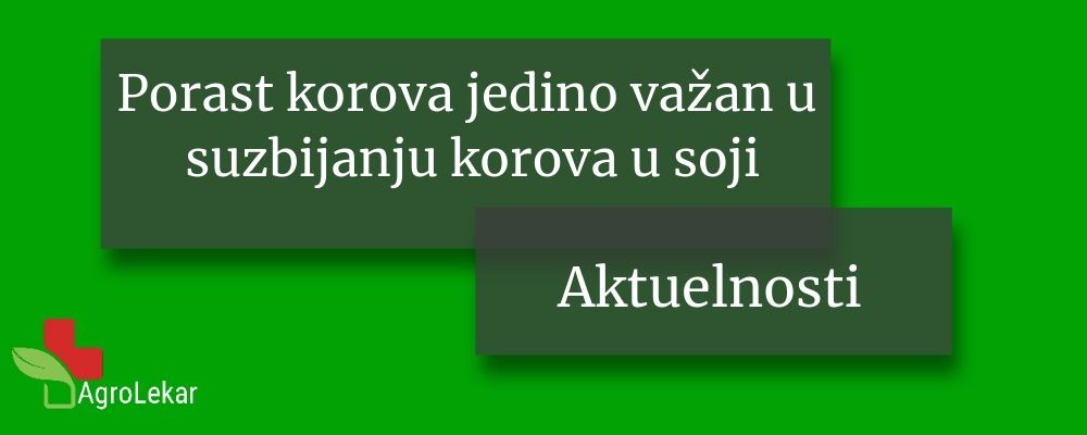 Read more about the article PORAST KOROVA JEDINO VAŽAN U SUZBIJANJU KOROVA U SOJI!!!