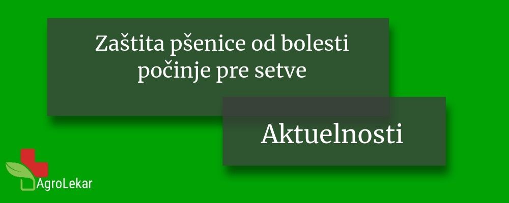 Read more about the article ZAŠTITA PŠENICE OD BOLESTI POČINJE PRE SETVE