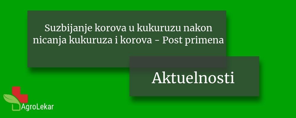 Read more about the article SUZBIJANJE KOROVA U KUKURUZU NAKON NICANJA KUKURUZA I KOROVA – Post primena