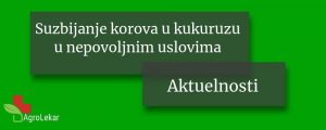Read more about the article SUZBIJANJE KOROVA U KUKURUZU U NEPOVOLJNIM USLOVIMA