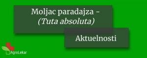 Read more about the article OPASNA ŠTETOČINA PARADAJZA – Moljac paradajza (Tuta absoluta)