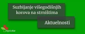Read more about the article SUZBIJANJE VIŠEGODIŠNJIH KOROVA NA STRNIŠTIMA