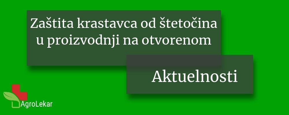Read more about the article ZAŠTITA KRASTAVCA OD ŠTETOČINA U PROIZVODNJI NA OTVORENOM
