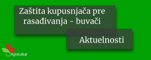 Read more about the article BUVAČI KRSTAŠICA (Phyllotreta spp) – ZAŠTITA KUPUSNJAČA PRE RASADJIVANJA