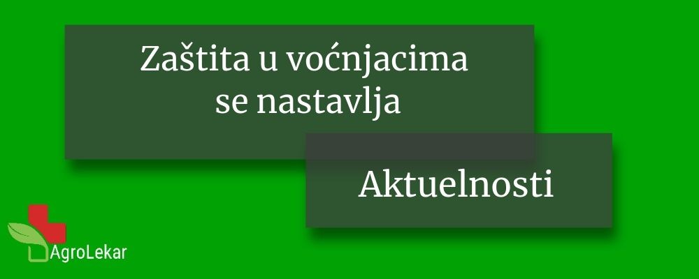 Read more about the article ZAŠTITA U VOĆNJACIMA SE NASTAVLJA