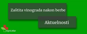 Read more about the article ZAŠTITA VINOGRADA NAKON BERBE