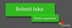 Read more about the article Bolesti luka