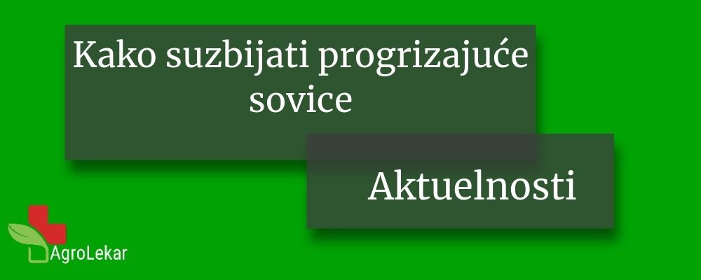Read more about the article KAKO SUZBIJATI POGRIZAJUĆE SOVICE (Noctuidae)