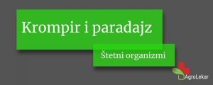 Read more about the article Štetni organizmi kod krompira i paradajza