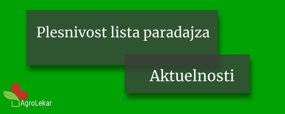 Read more about the article PLESNIVOST LISTA PARADAJZA ZNAČAJNA BOLEST U PROIZVODNJI U ZATVORENOM PROSTORU