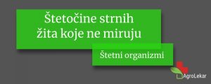 Read more about the article Štetočine strnih žita koje ne miruju