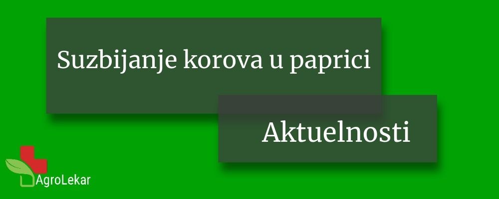Read more about the article SUZBIJANJE KOROVA U PAPRICI