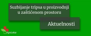 Read more about the article SUZBIJANJE TRIPSA U PROIZVODNJI U ZAŠTIĆENOM PROSTORU