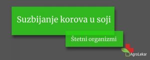 Read more about the article Suzbijanje korova u soji