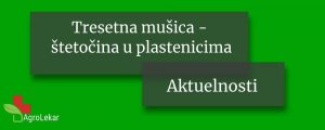 Read more about the article TRESETNA MUŠICA – ŠTETOČINA U PLASTENICIMA