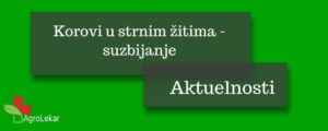 Read more about the article KOROVI U STRNIM ŽITIMA – SUZBIJANJE