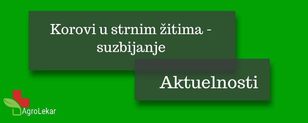 You are currently viewing KOROVI U STRNIM ŽITIMA – SUZBIJANJE