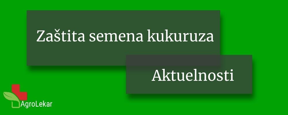 You are currently viewing ZAŠTITA SEMENA KUKURUZA