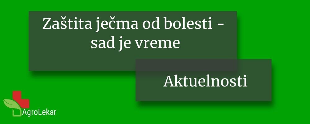 You are currently viewing ZAŠTITA JEČMA OD BOLESTI – SADA JE VREME