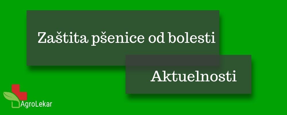 You are currently viewing ZAŠTITA PŠENICE OD BOLESTI