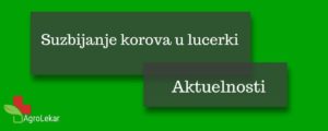 Read more about the article SUZBIJANJE KOROVA U LUCERKI