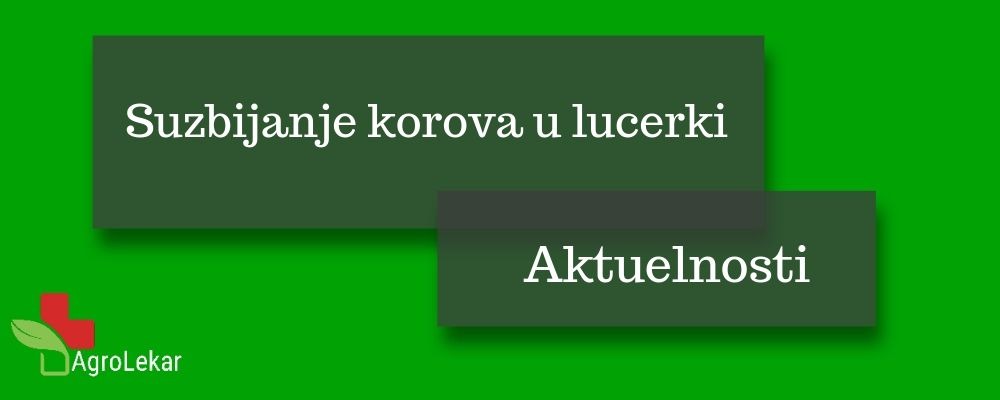 You are currently viewing SUZBIJANJE KOROVA U LUCERKI