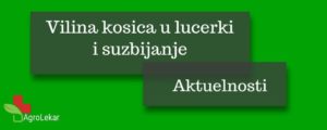 Read more about the article VILINA KOSICA U LUCERKI I SUZBIJANJE