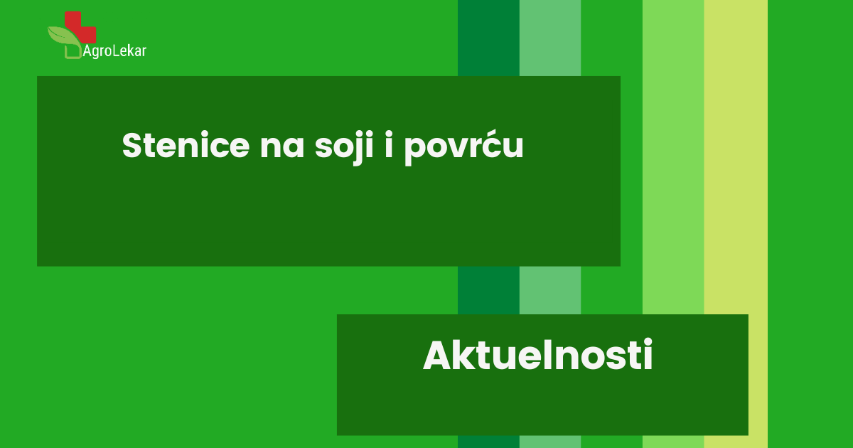 You are currently viewing STENICE NA SOJI I POVRĆU