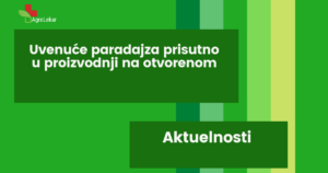Read more about the article UVENUĆE PARADAJZA PRISUTNO U PROIZVODNJI  NA OTVORENOM