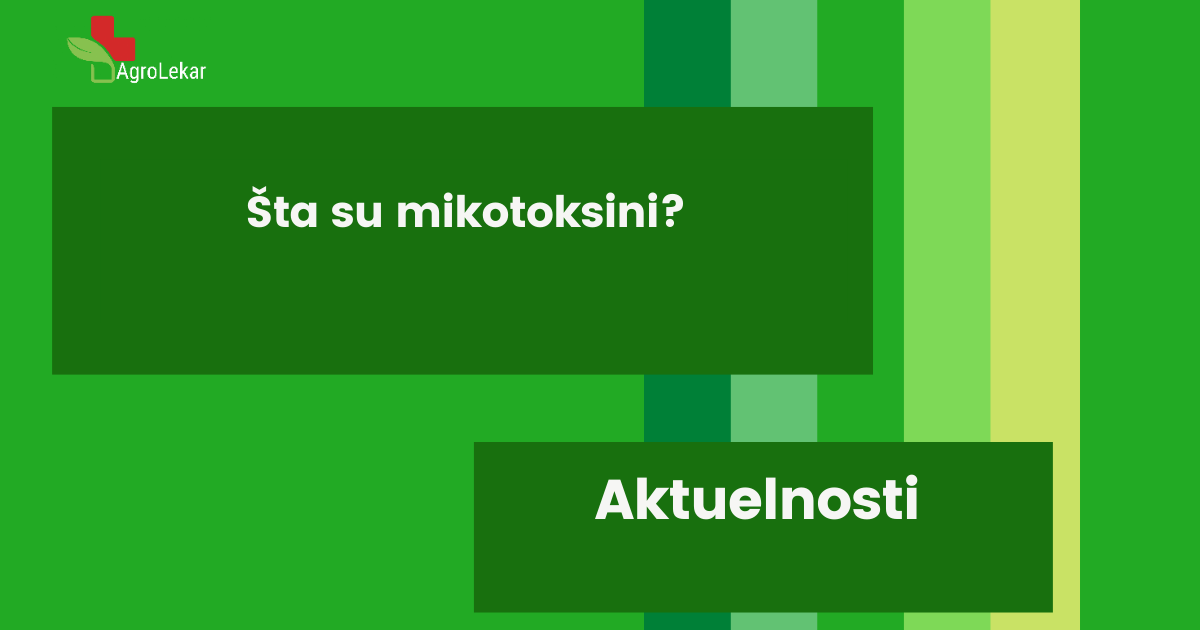 You are currently viewing ŠTA SU MIKOTOKSINI