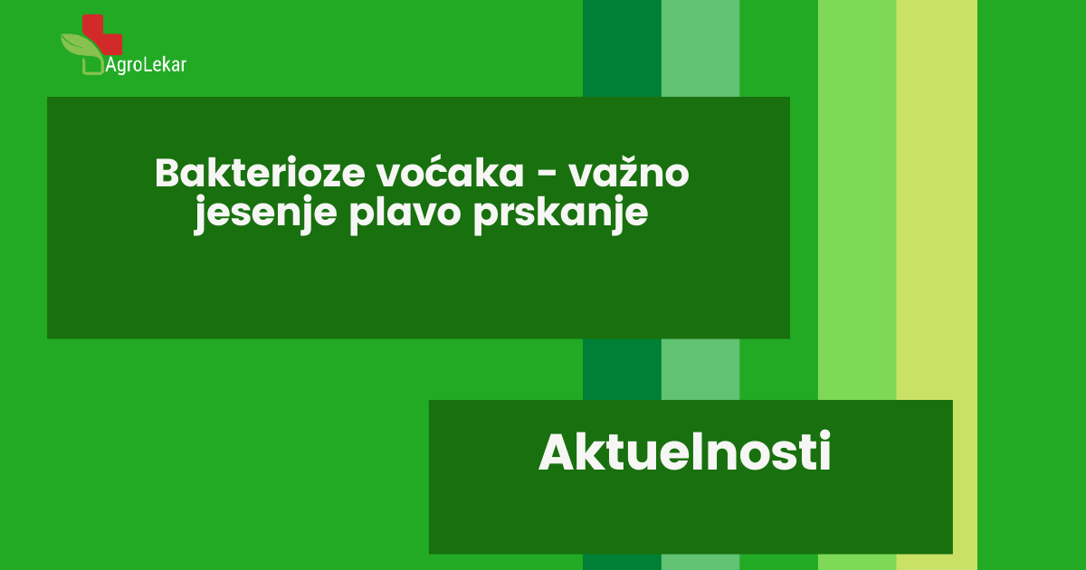 You are currently viewing BAKTERIOZE VOĆAKA – VAŽNO JESENJE PLAVO PRSKANJE