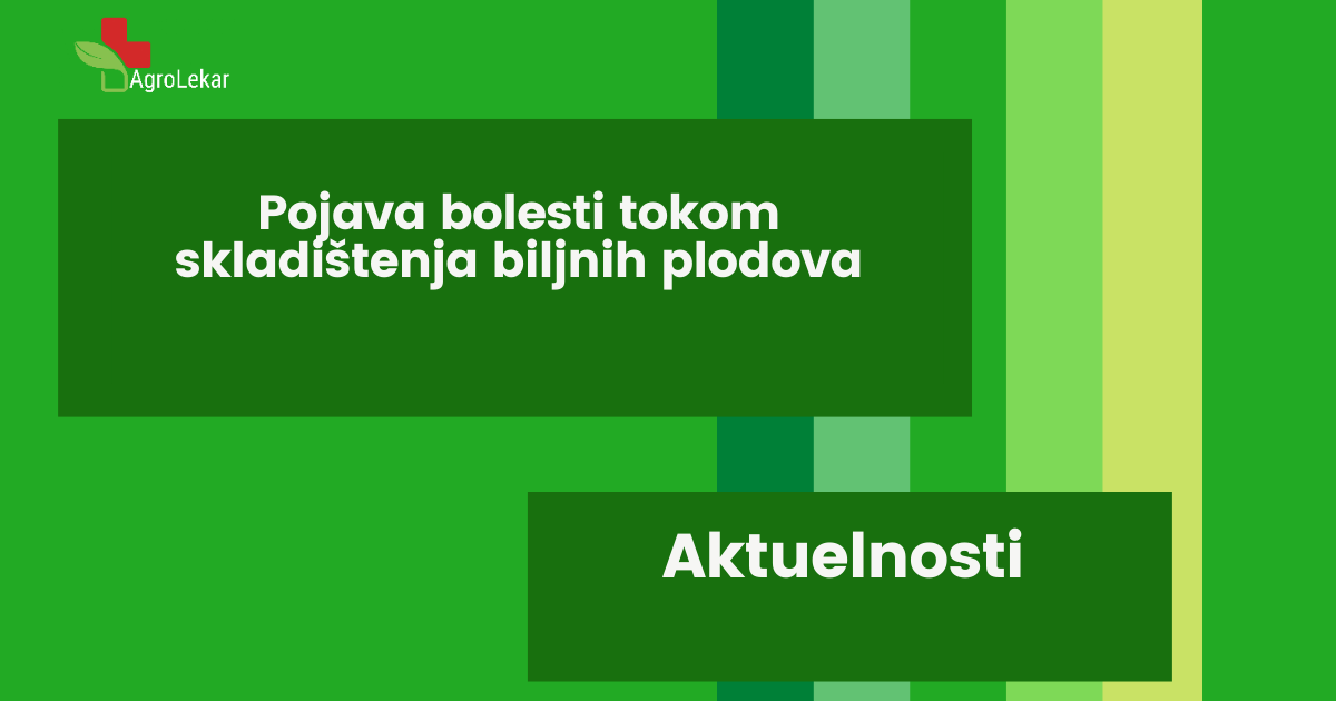 You are currently viewing POJAVA BOLESTI TOKOM SKLADIŠTENJA BILJNIH PLODOVA