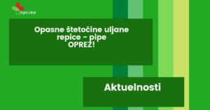Read more about the article OPASNE ŠTETOČINE ULJANE REPICE – PIPE! OPREZ!!!