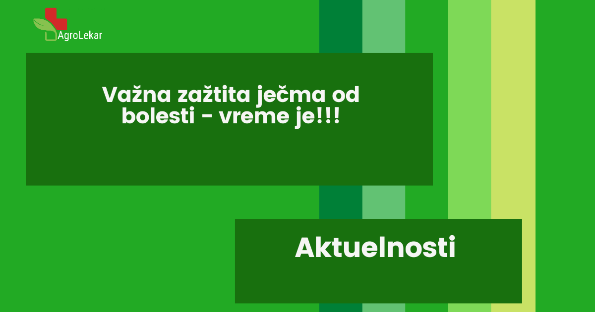 You are currently viewing VAŽNA ZAŠTITA JEČMA OD BOLESTI – VREME JE !!!