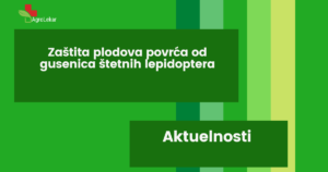 Read more about the article ZAŠTITA PLODOVA POVRĆA OD GUSENICA ŠTETNIH LEPIDOPTERA
