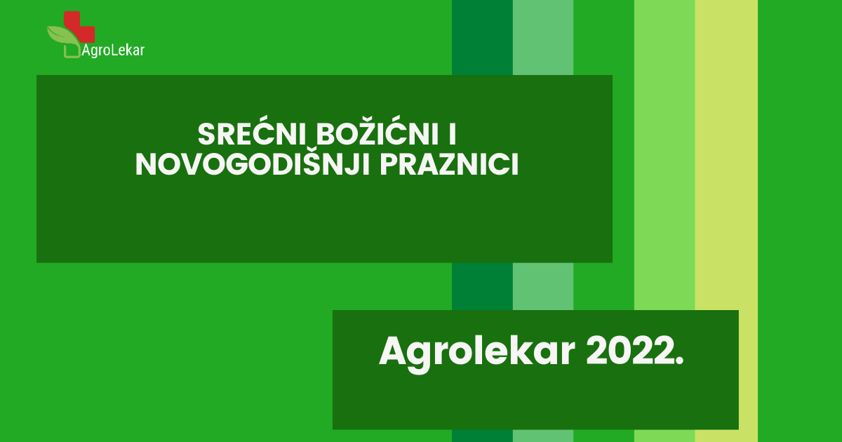 Read more about the article SREĆNI BOŽIĆNI I NOVOGODIŠNJI PRAZNICI