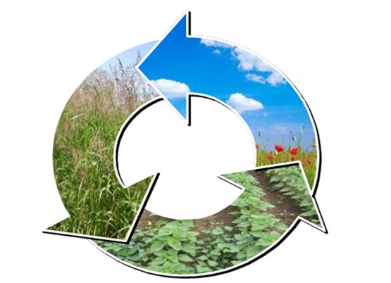 PLODORED - ZNAČAJNA AGROTEHNIČKA MERA U ZAŠTITI BILJA