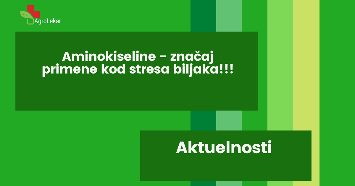 Read more about the article AMINOKISELINE – ZNAČAJ PRIMENE KOD STRESA BILJAKA!!!