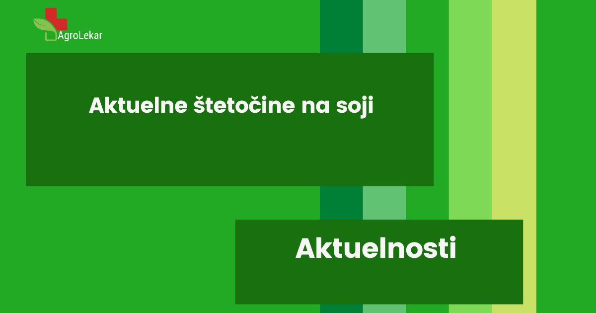 Read more about the article AKTUELNE ŠTETOČINE NA SOJI
