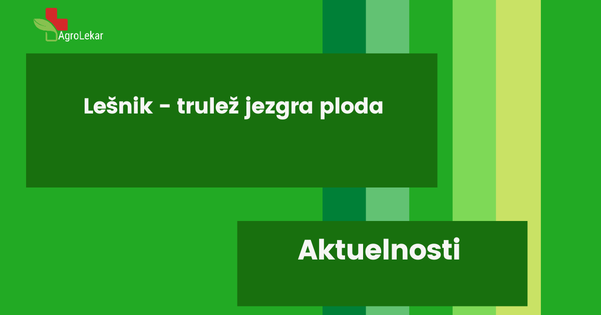 You are currently viewing LEŠNIK – TRULEŽ JEZGRA PLODA
