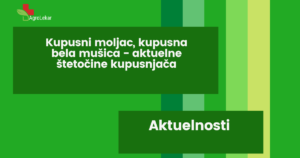 Read more about the article KUPUSNI MOLJAC, KUPUSNA BELA MUŠICA – AKTUELNE ŠTETOČINE KUPUSNJAČA!