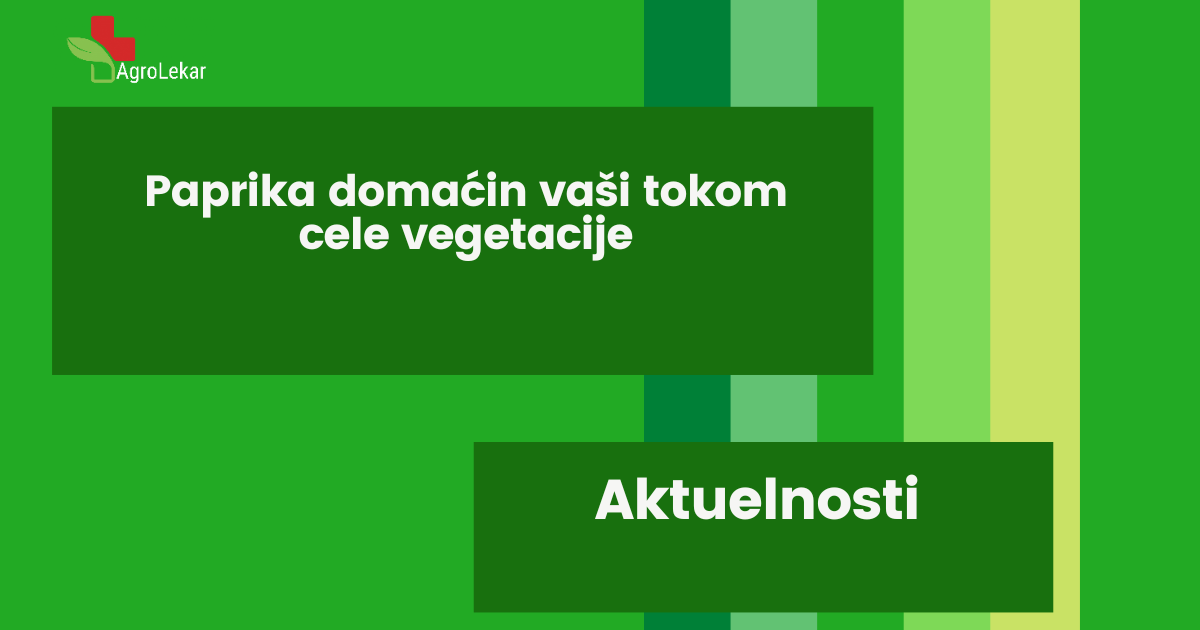 You are currently viewing PAPRIKA DOMAĆIN VAŠI TOKOM CELE VEGETACIJE