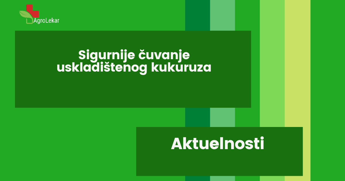 You are currently viewing SIGURNIJE ČUVANJE USKLADIŠTENOG KUKURUZA