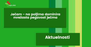 Read more about the article JEČAM – NA POLJIMA DOMINIRA MREŽASTA PEGAVOST JEČMA!!!